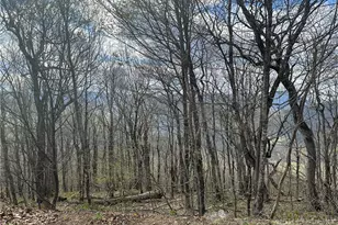 Lot 41 Silver Fox Dr, Blowing Rock, NC 28605 - Photo 1