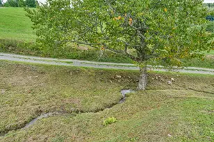 193 Roby Cornett Rd, Vilas, NC 28692 - Photo 33