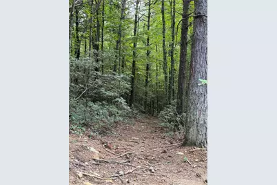 248 Ash Lane, Glade Valley, NC 28627 - Photo 33