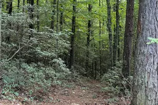 248 Ash Ln, Glade Valley, NC 28627 - Photo 33