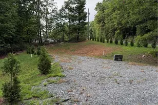248 Ash Ln, Glade Valley, NC 28627 - Photo 43