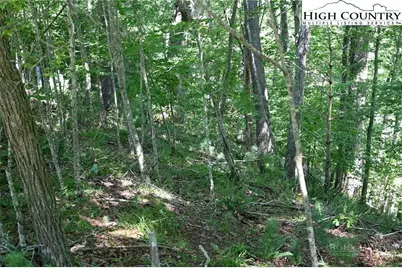 Tbd Turkey Ridge South, Lansing, NC 28643 - Photo 5