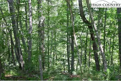 Tbd Turkey Ridge South, Lansing, NC 28643 - Photo 7