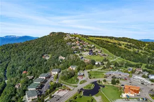 3441 Beech Mountain Pkwy, Beech Mountain, NC 28604 - Photo 43