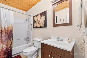 301 Pinnacle Inn Rd, Beech Mountain, NC 28604 - Photo 15