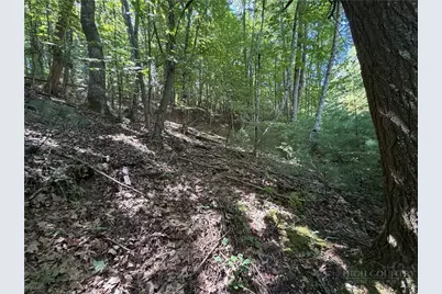 Lot 84 Cedar Road, Fleetwood, NC 28626 - Photo 7