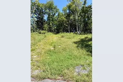 Tbd High Forest Drive, Newland, NC 28657 - Photo 3