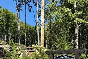 Tbd High Forest Dr, Newland, NC 28657 - Photo 1