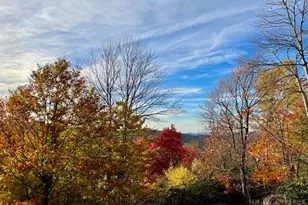 114 Mill Pond Ln, Beech Mountain, NC 28604 - Photo 35