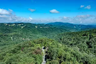 114 Mill Pond Ln, Beech Mountain, NC 28604 - Photo 31