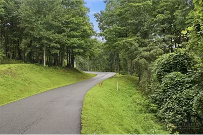 Lot 70 Bear Paw Road, Elk Park, NC 28622 - Photo 5