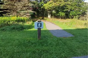 2115 Pinnacle Inn Rd, Beech Mountain, NC 28604 - Photo 27
