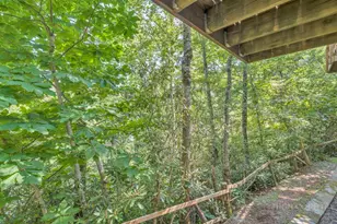 1443 Sugar Mountain Dr, Sugar Mountain, NC 28604 - Photo 23