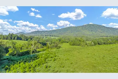 8586 Traphill Road, Traphill, NC 28685 - Photo 33