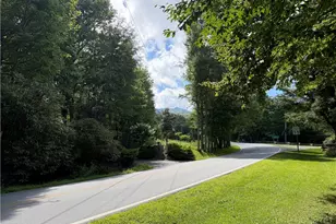 7458 US Hwy 221, Blowing Rock, NC 28605 - Photo 3