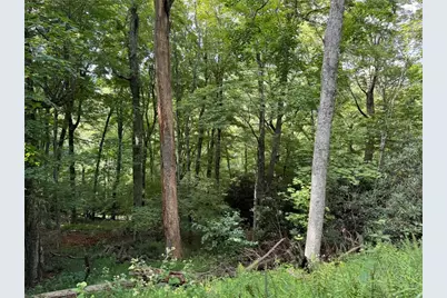 Lot 8 Bear Cub Trail, Boone, NC 28607 - Photo 7