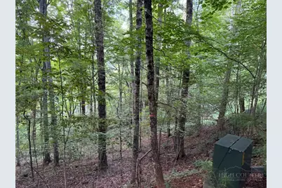 Lot 8 Bear Cub Trail, Boone, NC 28607 - Photo 11