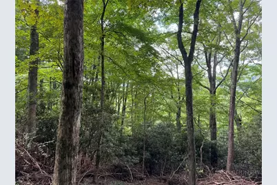 Lot 8 Bear Cub Trail, Boone, NC 28607 - Photo 5