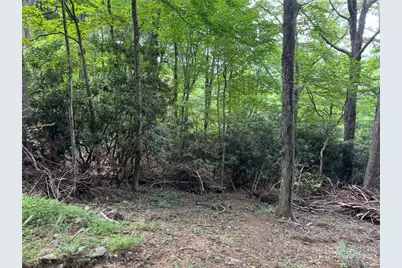 Lot 8 Bear Cub Trail, Boone, NC 28607 - Photo 3