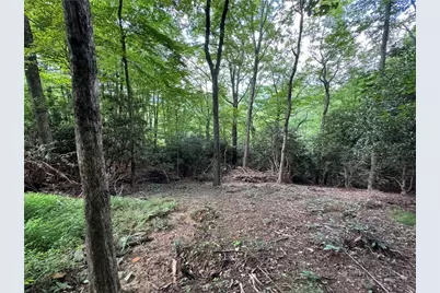 Lot 8 Bear Cub Trail, Boone, NC 28607 - Photo 1