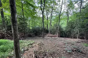 Lot 8 Bear Cub Trail, Boone, NC 28607 - Photo 1