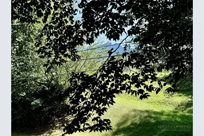 310 Country Lane, Newland, NC 28657 - Photo 35