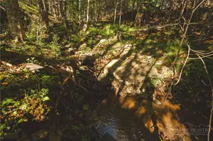 351 Lynn Hill Rd, Boone, NC 28607 - Photo 15