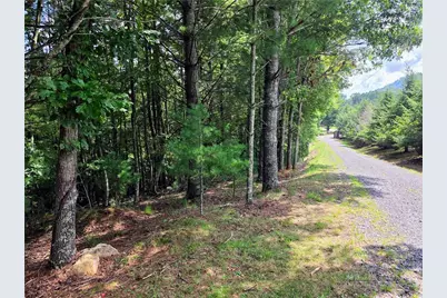 Tbd Pine Springs Dr, Jefferson, NC 28640 - Photo 5