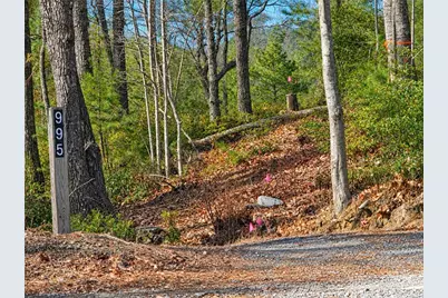 1166 Deer Crossing Lane, Ferguson, NC 28624 - Photo 1