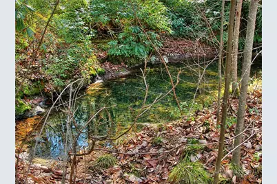 1166 Deer Crossing Lane, Ferguson, NC 28624 - Photo 5