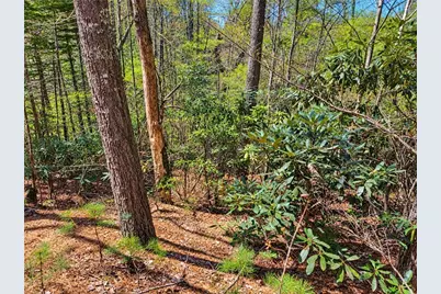 1166 Deer Crossing Lane, Ferguson, NC 28624 - Photo 11