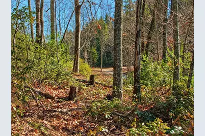 1166 Deer Crossing Lane, Ferguson, NC 28624 - Photo 9