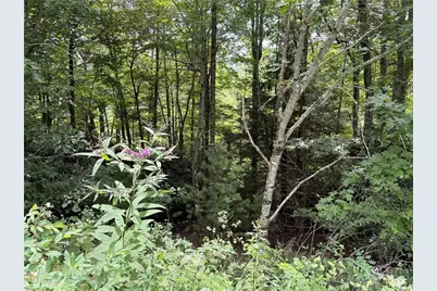 Lot 9 Ledgestone Lane, Boone, NC 28607 - Photo 27