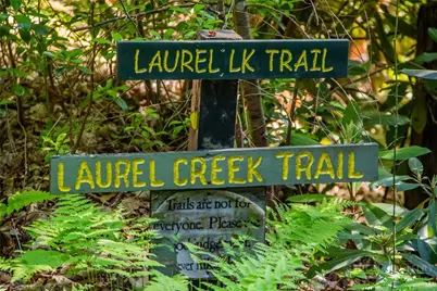 412 Laurel Circle, Deep Gap, NC 28618 - Photo 49
