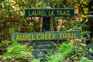 412 Laurel Circle, Deep Gap, NC 28618 - Photo 49