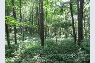 Tbd Lot 23 Country Ridge Road, Jefferson, NC 28640 - Photo 1