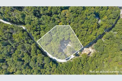 211 Wild Daisy Lane, Beech Mountain, NC 28604 - Photo 3