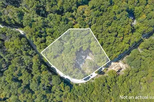 211 Wild Daisy Ln, Beech Mountain, NC 28604 - Photo 3