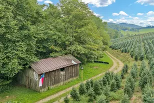 6104 Howard's Creek Rd, Boone, NC 28607 - Photo 27