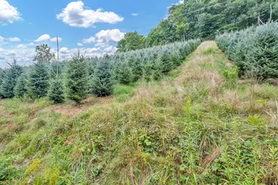 6104 Howards Creek Road, Boone, NC 28607 - Photo 33