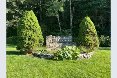 Tbd Linwood Lane, Newland, NC 28657 - Photo 1