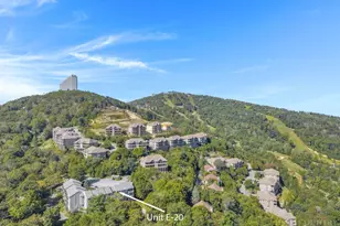 161 Skyleaf Dr, Sugar Mountain, NC 28604 - Photo 25