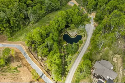 Lot 46 Silver Springs Farm Road, Banner Elk, NC 28604 - Photo 3