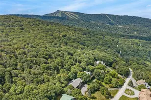 130 Briarwood Ln, Beech Mountain, NC 28604 - Photo 41