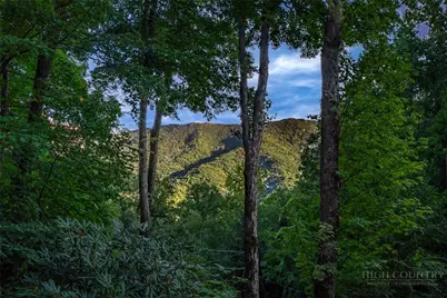225 Isle Of Skye, Banner Elk, NC 28604 - Photo 5