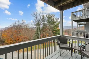161 Skyleaf Dr, Sugar Mountain, NC 28604 - Photo 7