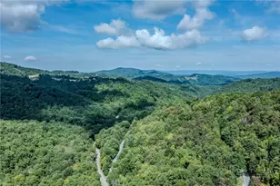 101 Sage Knoll, Beech Mountain, NC 28604 - Photo 41