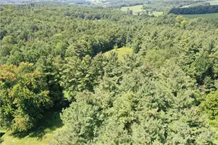 6627 Glade Valley Rd, Ennice, NC 28623 - Photo 47