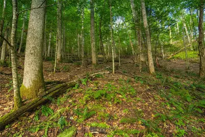 Tbd Wasatch Drive, Boone, NC 28607 - Photo 3