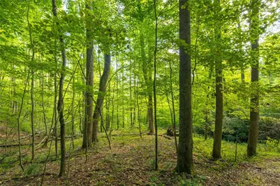 Tbd Wasatch Drive, Boone, NC 28607 - Photo 1